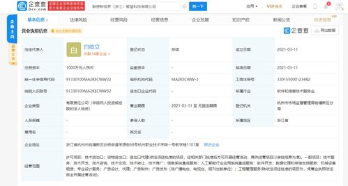 信息系統(tǒng)集成服務(wù)的全面解析